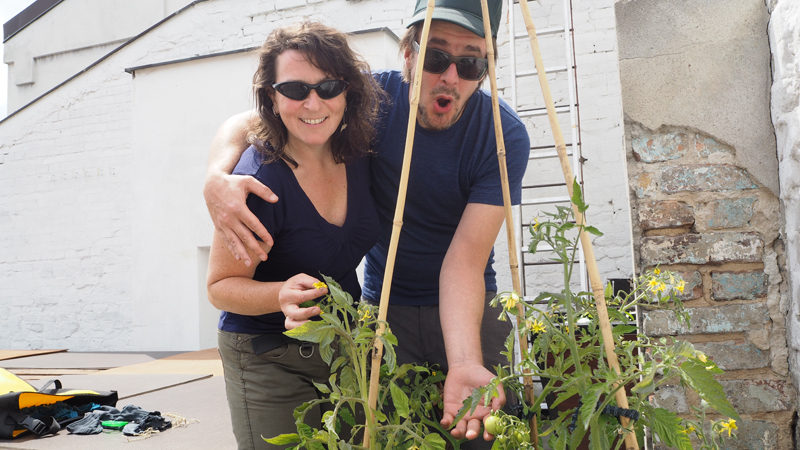 Es wachsen tatsächlich kleine Tomaten auf unserer Terrasse!, Foto: Sascha Schlegel