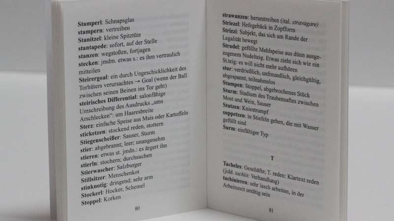 Österreichisch-Deutsches Wörterbuch (Foto: Sophie Euler)