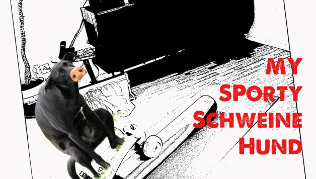 Schweinehund macht Sport by Stefanie Ippendorf