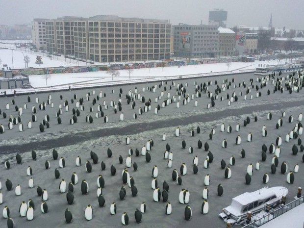 Pinguine on ice