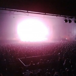 Radiohead-Publikum (Foto: Sophie Euler)