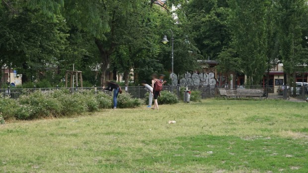 (Foto: Sophie Euler)