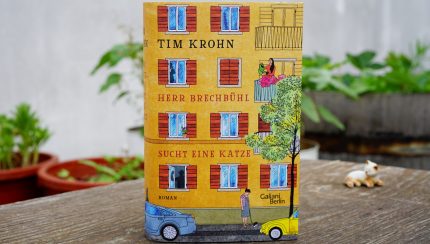 Tim Krohn, FluxFM, Buch, Herr Brechbühl sucht eine Katze