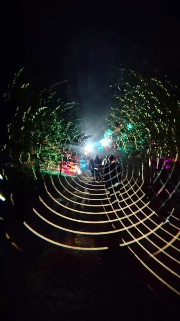 Melt, Spezialsendung, FluxFM, Interview, Glass Animals, honne, Noga Erez, Sohn