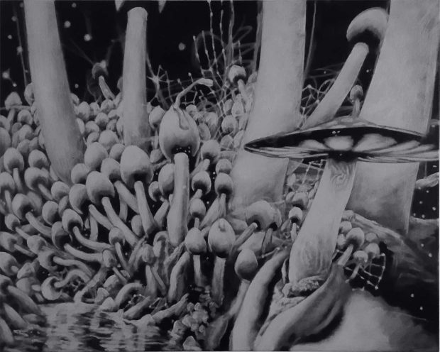 Alexander v. Schlieffen, Radio Arty, Schaufenster