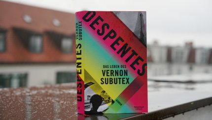 Das Leben des Vernon Subutex, Virginie Despentes, Cover, Frankreich, Träume, Realität, verwirklichen, Nancy, Frankreich, Plattenladen