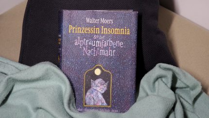 Walter Moers, Prinzessin Insomnia und der alptraumfarbene Nachtmahr