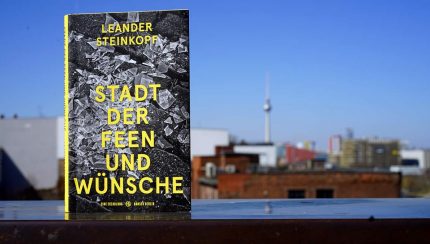 leander steinkopf, buch, feen, wünsche, roman, hanser berlin