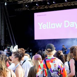 Yellow Days (Foto: Ann-Kathrin Canjé)