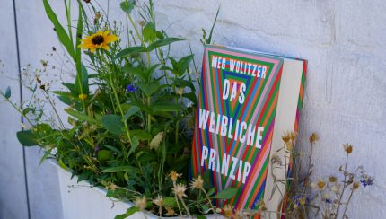 Das weibliche Prinzip von Meg Wolitzer (Foto: Ann-Kathrin Canjé)