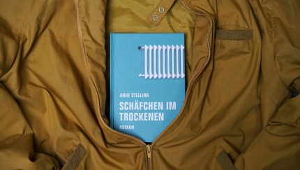 Schäfchen im Trockenen, Anke Stelling, Roman, Familienalltag, Wahnsinn, Freundeskreis, lesen, Bücher, Buch, Lektüre, Empfehlung