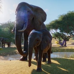 Bei den Dickhäuter habt ihr die Auswahl - es gibt afrikanische und indische Elefanten im Spiel (Quelle: Frontier Developments)